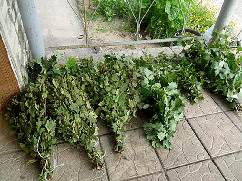 Заготовка банных веников для продажи