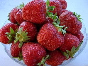 Сорт Земляники Вима Занта фото