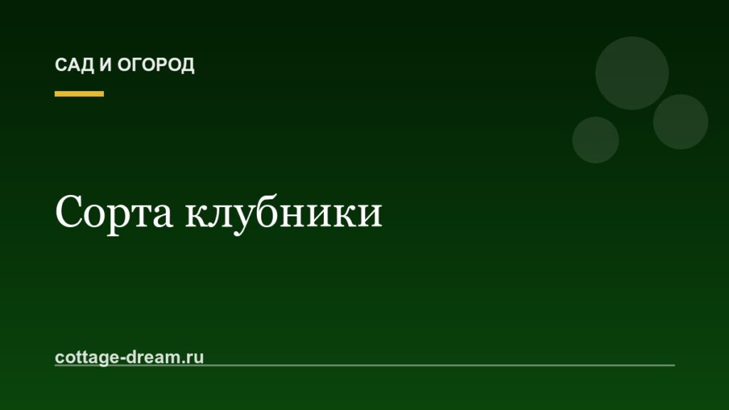 Сорта клубники: описание