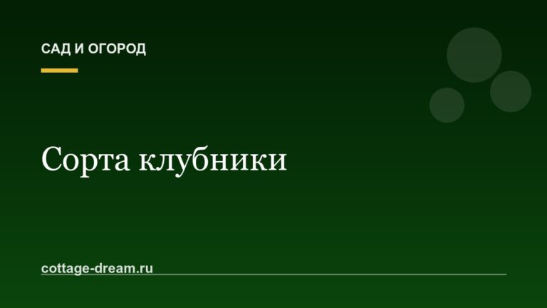 Сорта клубники: описание
