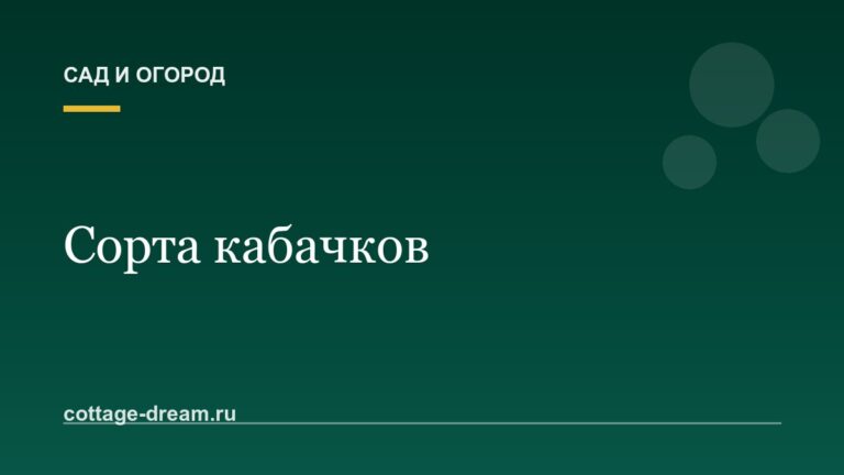 Сорта кабачков: описание