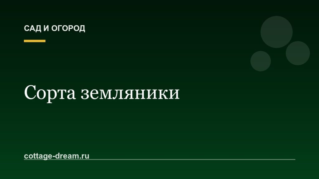 Сорта земляники: описание