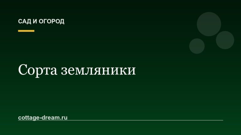 Сорта земляники: описание