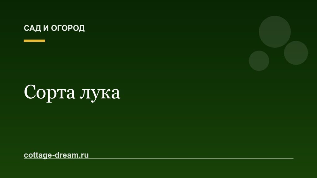 Сорта лука: описание