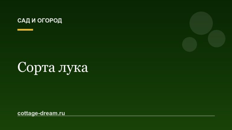 Сорта лука: описание