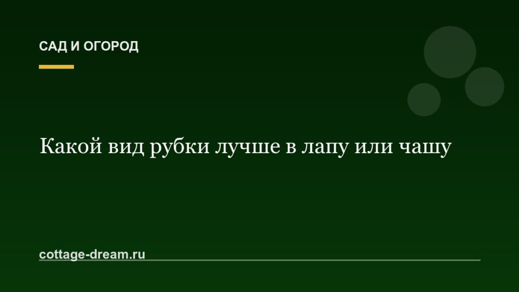 Какой вид рубки лучше в лапу или чашу