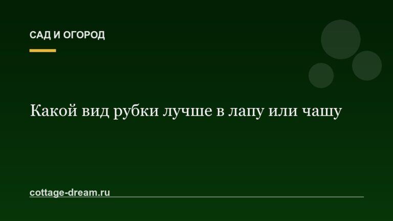 Какой вид рубки лучше в лапу или чашу