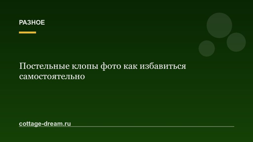 Постельные клопы фото как избавиться самостоятельно