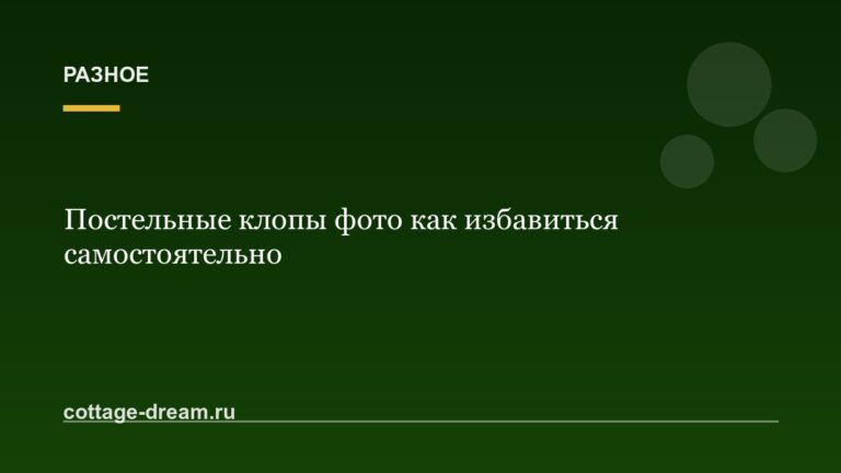 Постельные клопы фото как избавиться самостоятельно