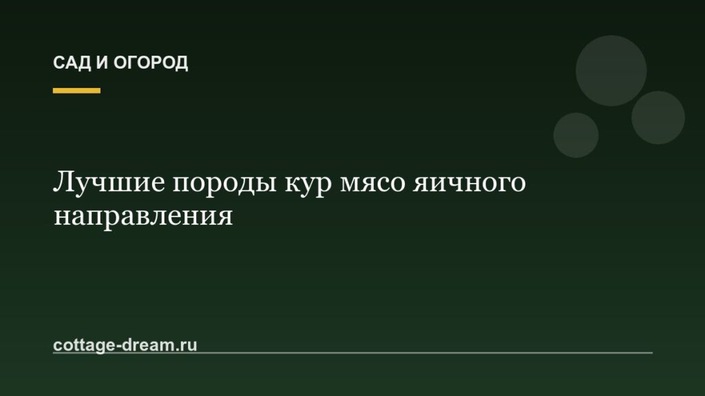 Лучшие породы кур мясо яичного направления