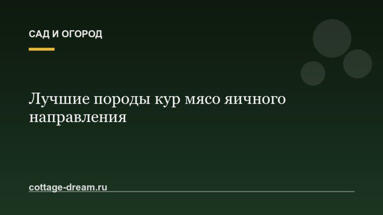 Лучшие породы кур мясо яичного направления