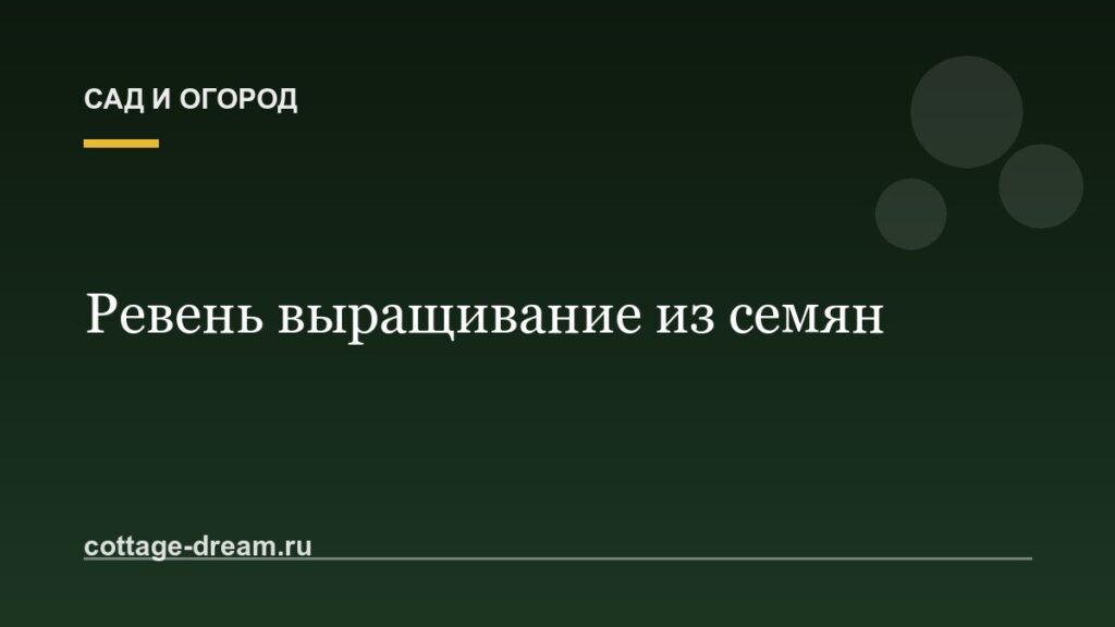 Ревень выращивание из семян: фото