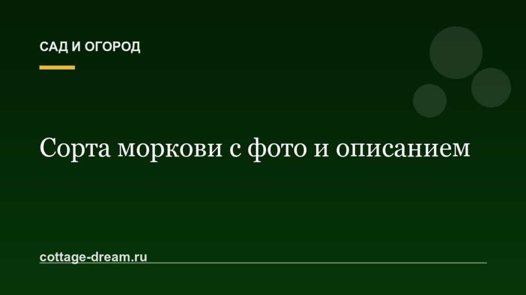 Сорта моркови с фото и описанием