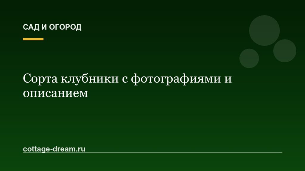 Сорта клубники с фотографиями и описанием