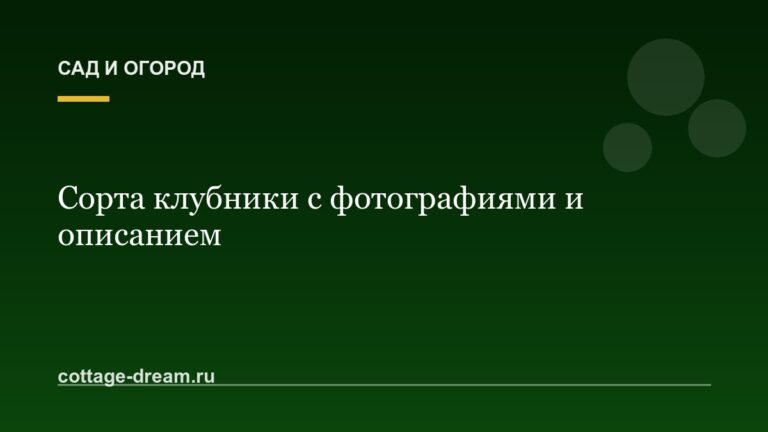 Сорта клубники с фотографиями и описанием