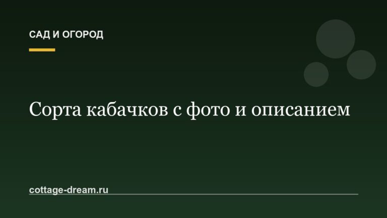 Сорта кабачков с фото и описанием