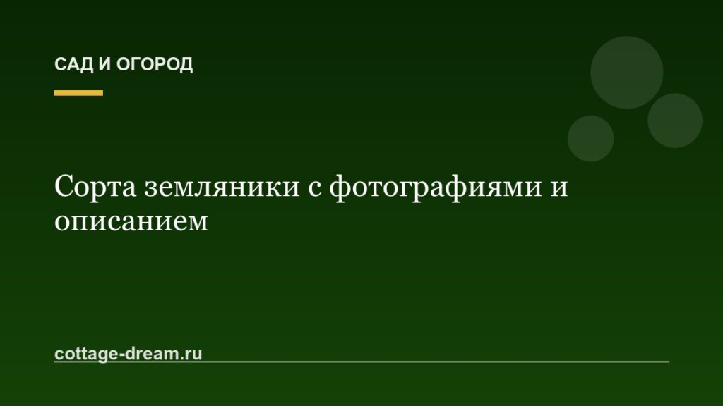 Сорта земляники с фотографиями и описанием