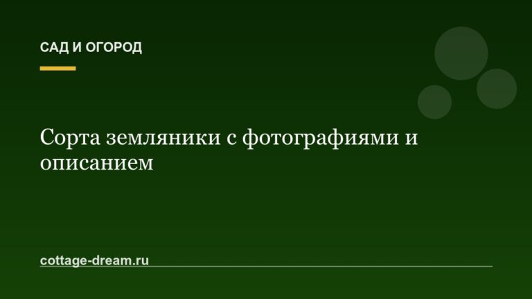 Сорта земляники с фотографиями и описанием