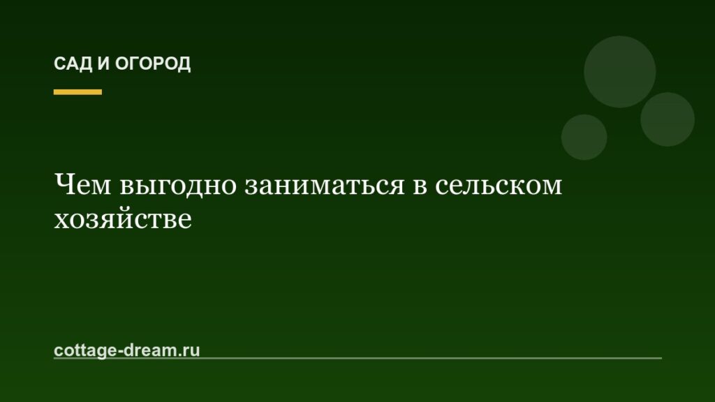 Чем выгодно заниматься в сельском хозяйстве