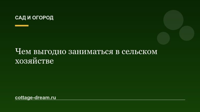 Чем выгодно заниматься в сельском хозяйстве