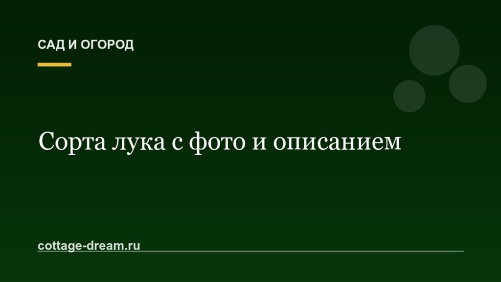Сорта лука с фото и описанием
