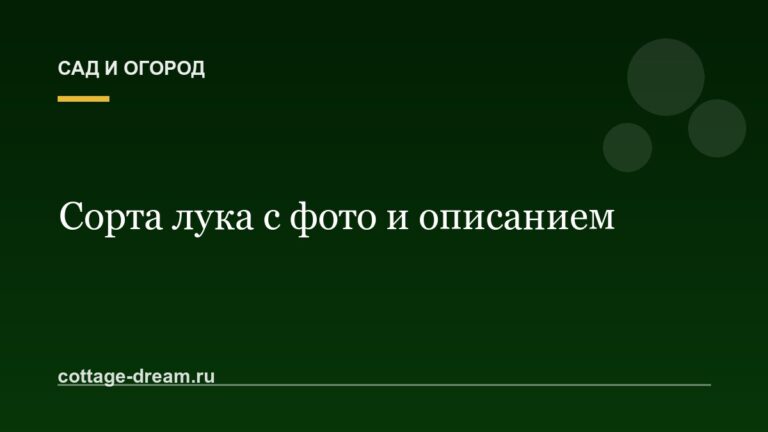 Сорта лука с фото и описанием