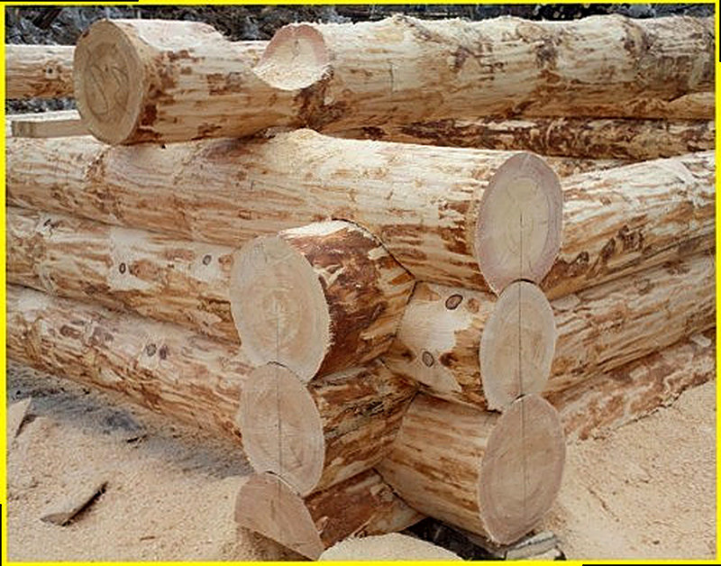 Рубка сруба в чашу фото