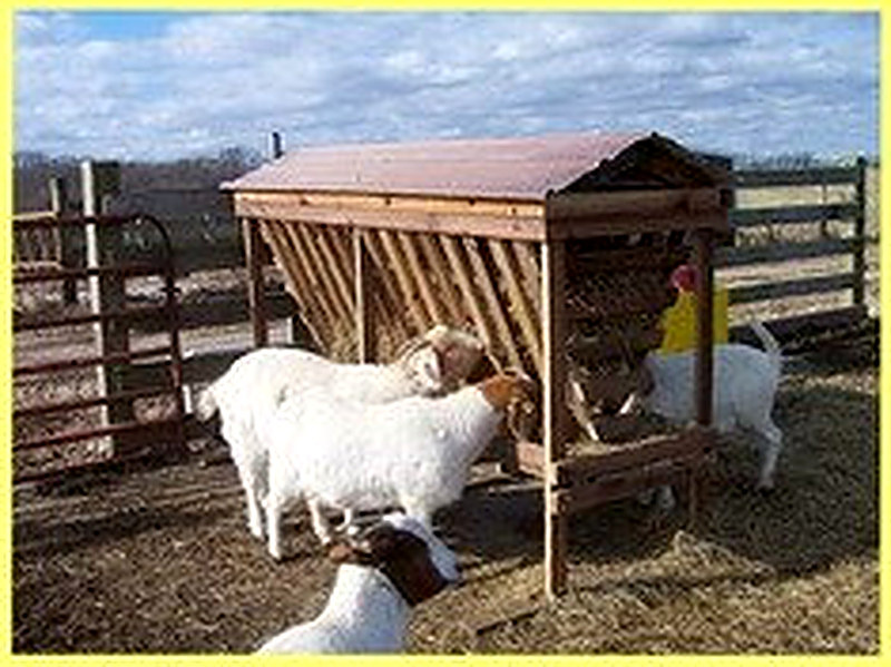 Кормушка для овец своими руками