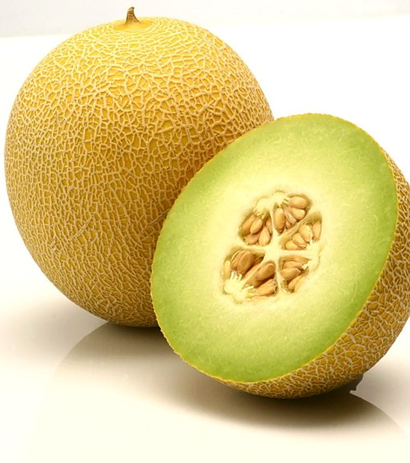 Сорт Дынь Юкар F1 фото