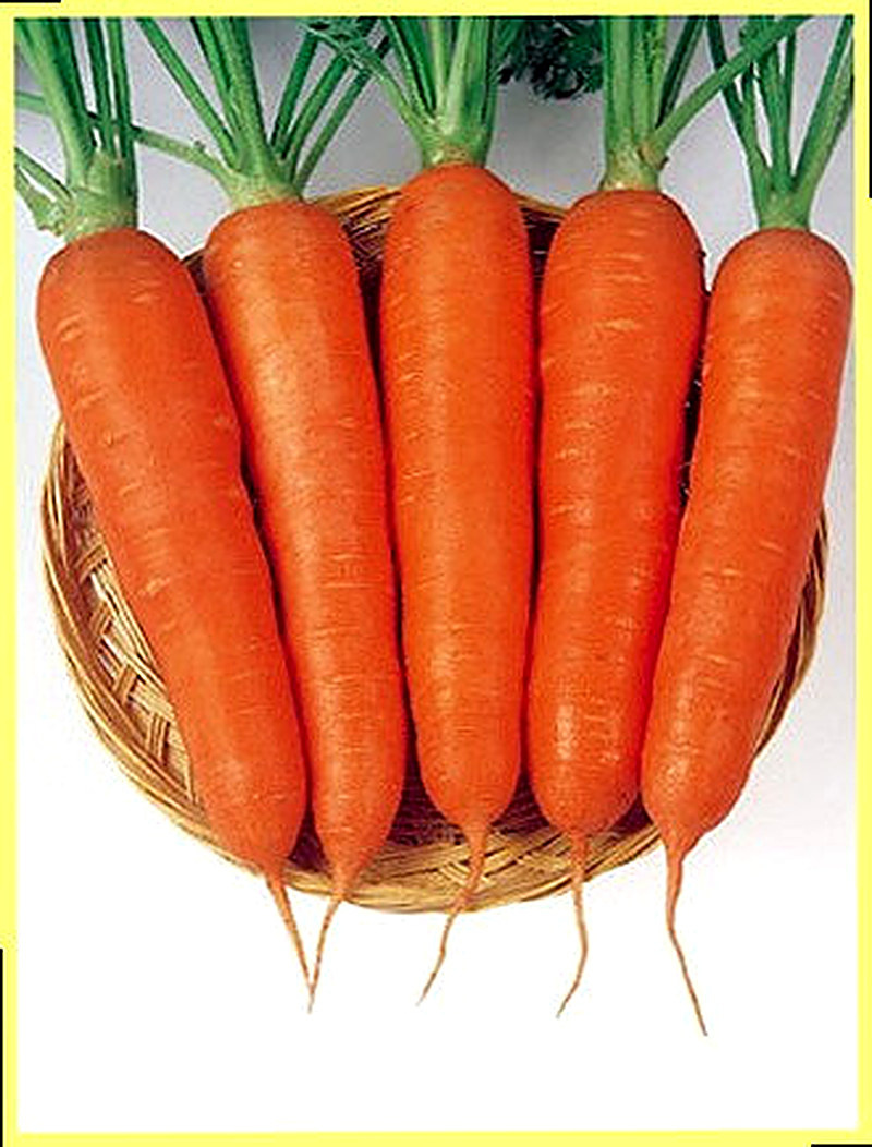 Sort Morkovi Viktorija F1 foto