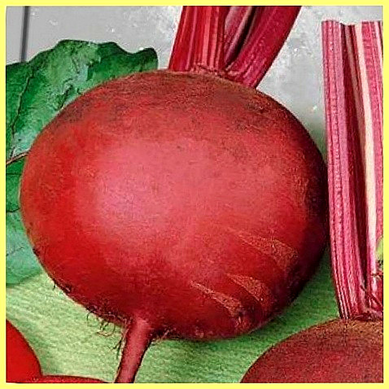 Sort svekly Detrojt foto