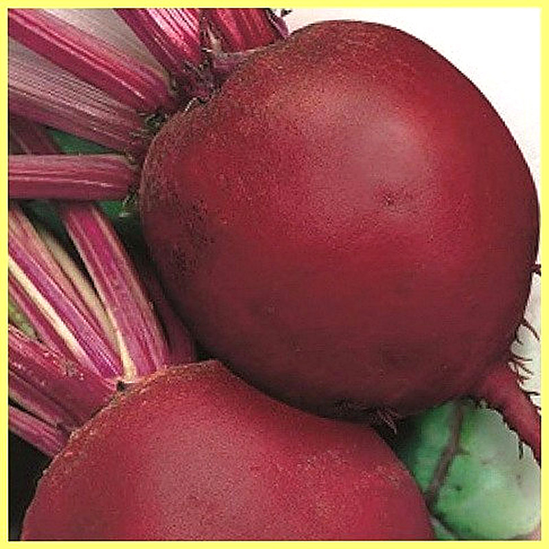 Sort svekly Krasnyj shar foto