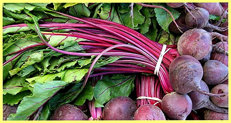 Sort svekly Modana foto