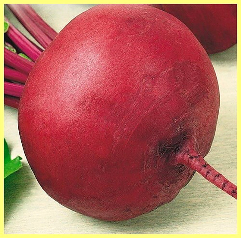 Sort svekly Nesravnennaja A 463 foto