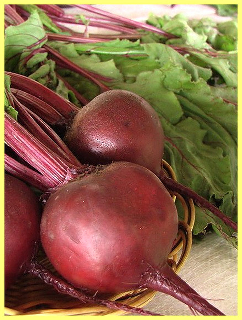 Sort svekly Pablo F1 foto