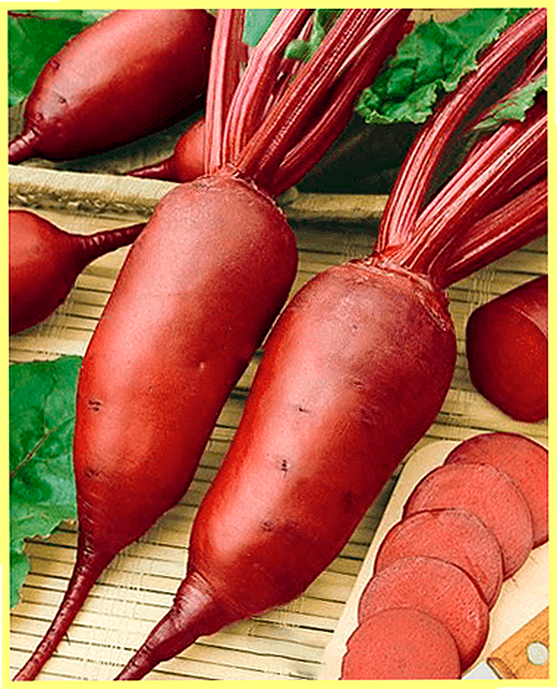 Sort svekly Renova foto