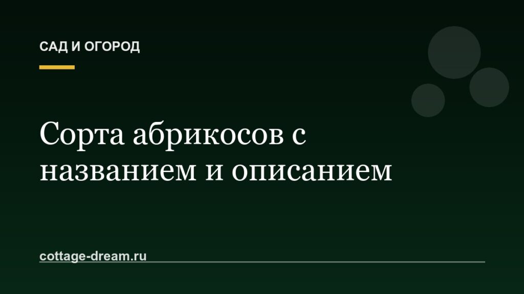 Сорта абрикосов с названием и описанием