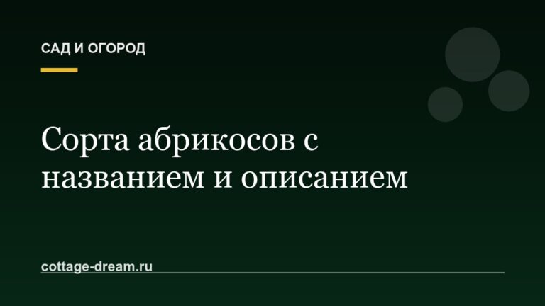 Сорта абрикосов с названием и описанием