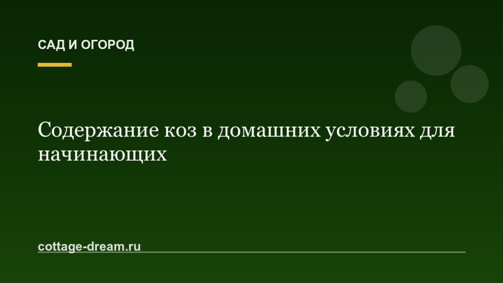 Содержание коз в домашних условиях для начинающих