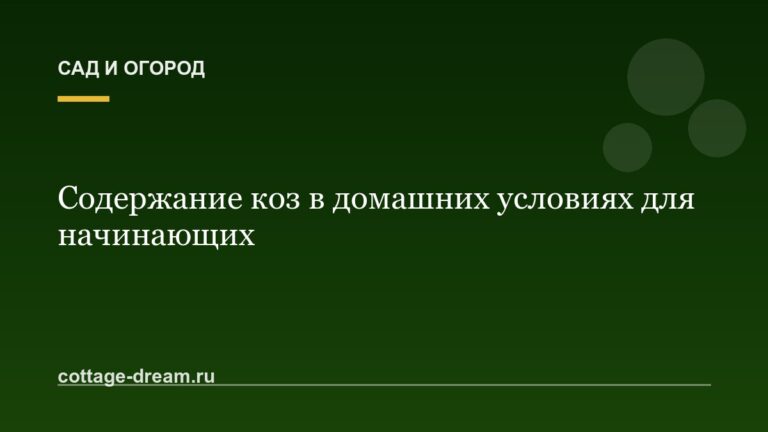 Содержание коз в домашних условиях для начинающих