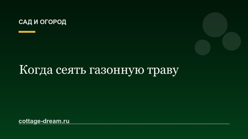 Когда сеять газонную траву: осенью или весной