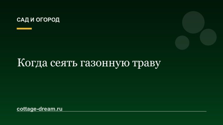 Когда сеять газонную траву: осенью или весной