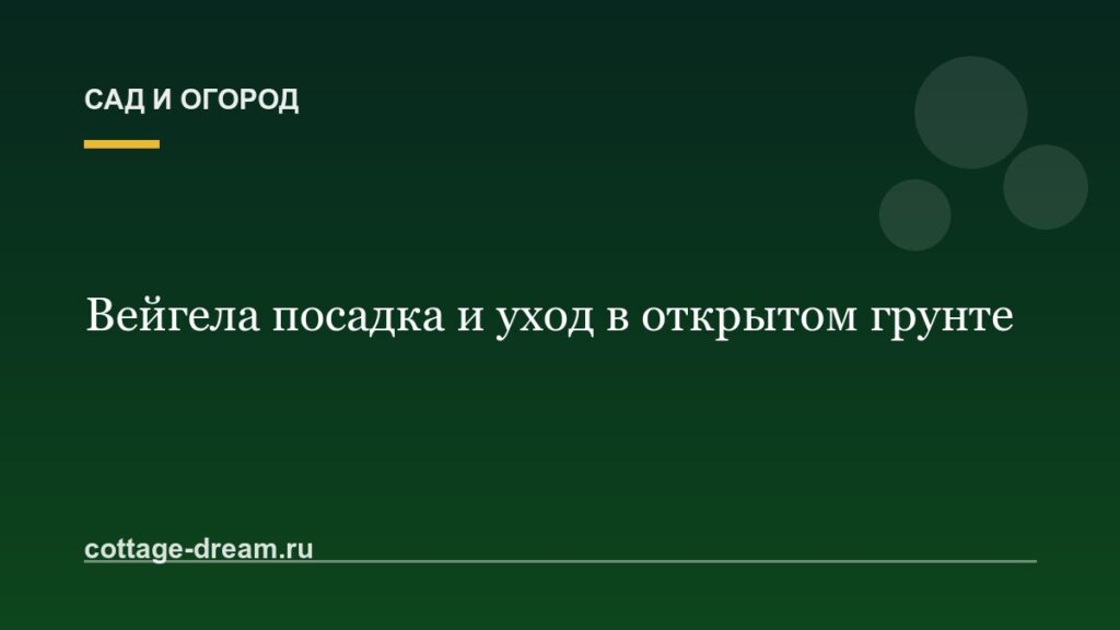 Вейгела посадка и уход в открытом грунте