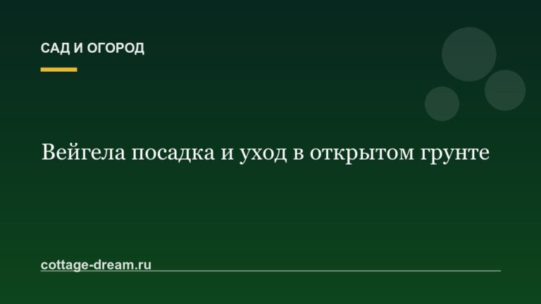 Вейгела посадка и уход в открытом грунте