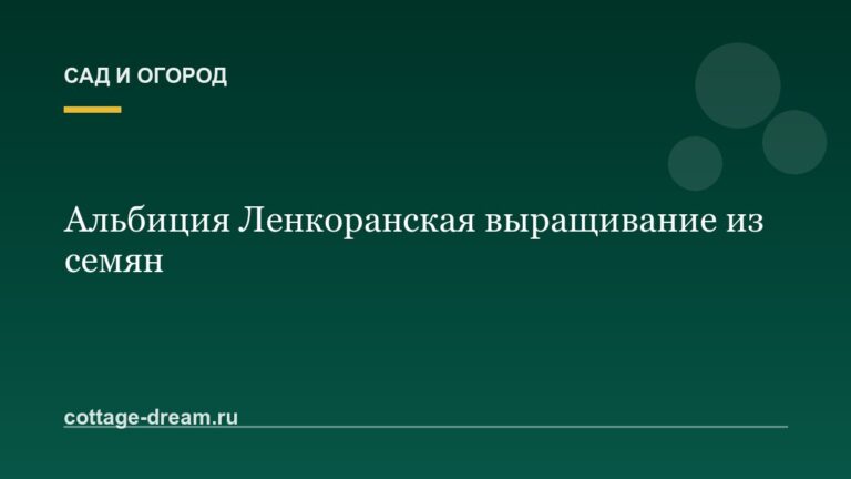 Альбиция Ленкоранская выращивание из семян