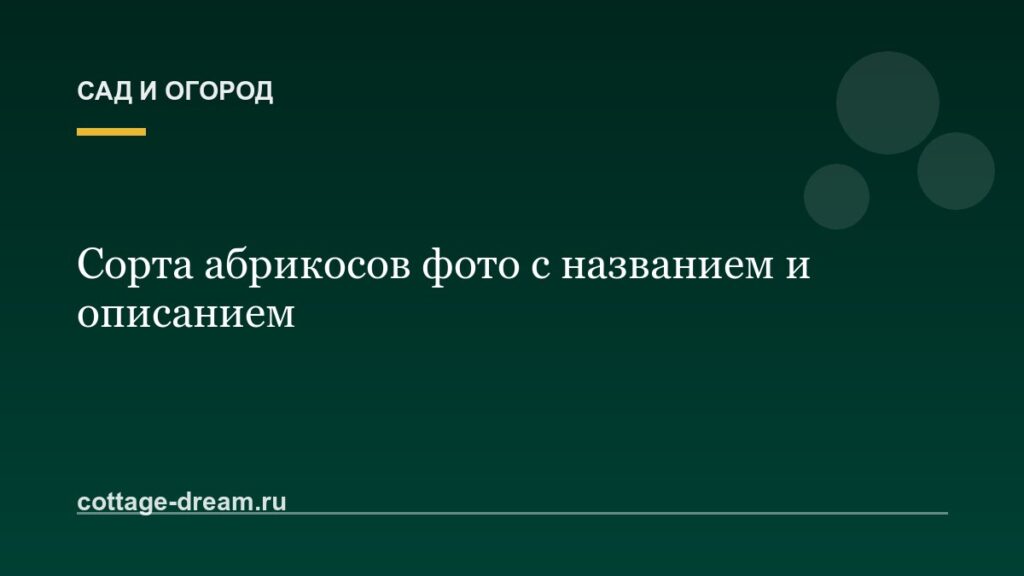 Сорта абрикосов фото с названием и описанием