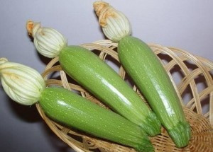 Кабачок Алия F1 фото