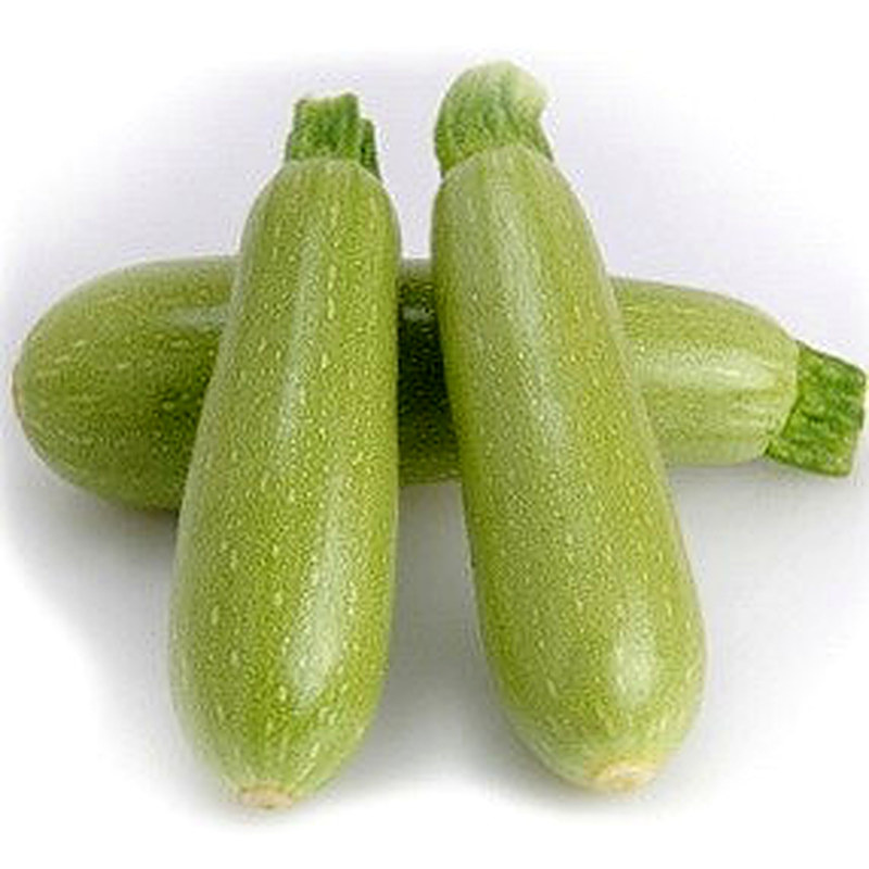 кабачок арал f1 фото