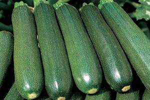 Кабачок Цукеша фото