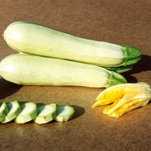 Кабачок Кавили F1 фото